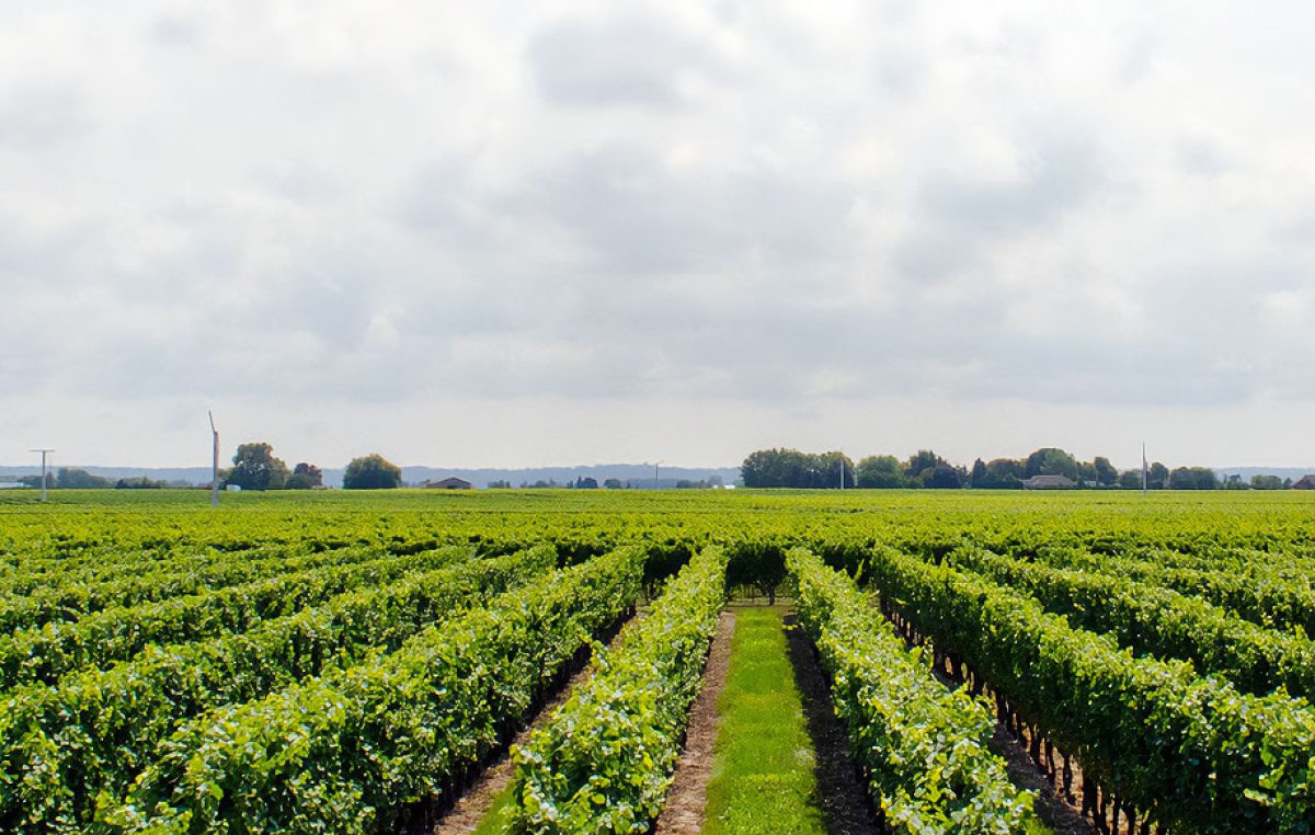 21 Ottobre | Secondo Forum di Foragri | 25 anni della legge 388 del 2000 – Bilancio e prospettive future