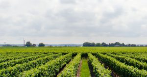 21 Ottobre | Secondo Forum di Foragri | 25 anni della legge 388 del 2000 – Bilancio e prospettive future