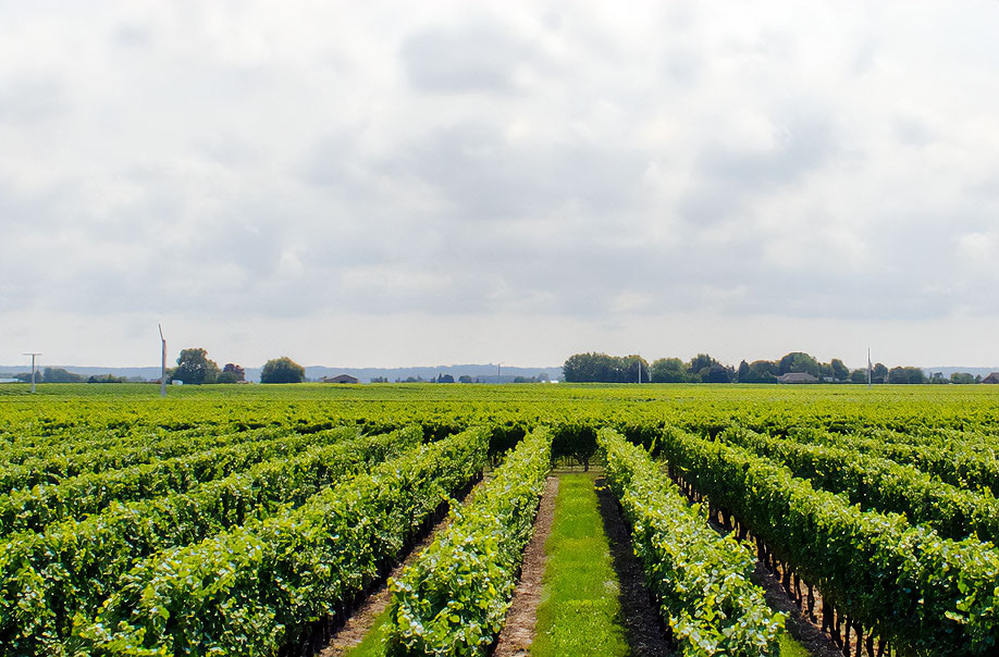 21 Ottobre | Secondo Forum di Foragri | 25 anni della legge 388 del 2000 – Bilancio e prospettive future