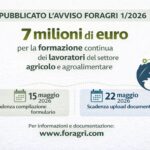 Foragri ha pubblicato l'Avviso 1/2026