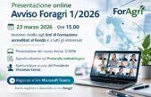 Presentazione online dell’Avviso Foragri 1/2026