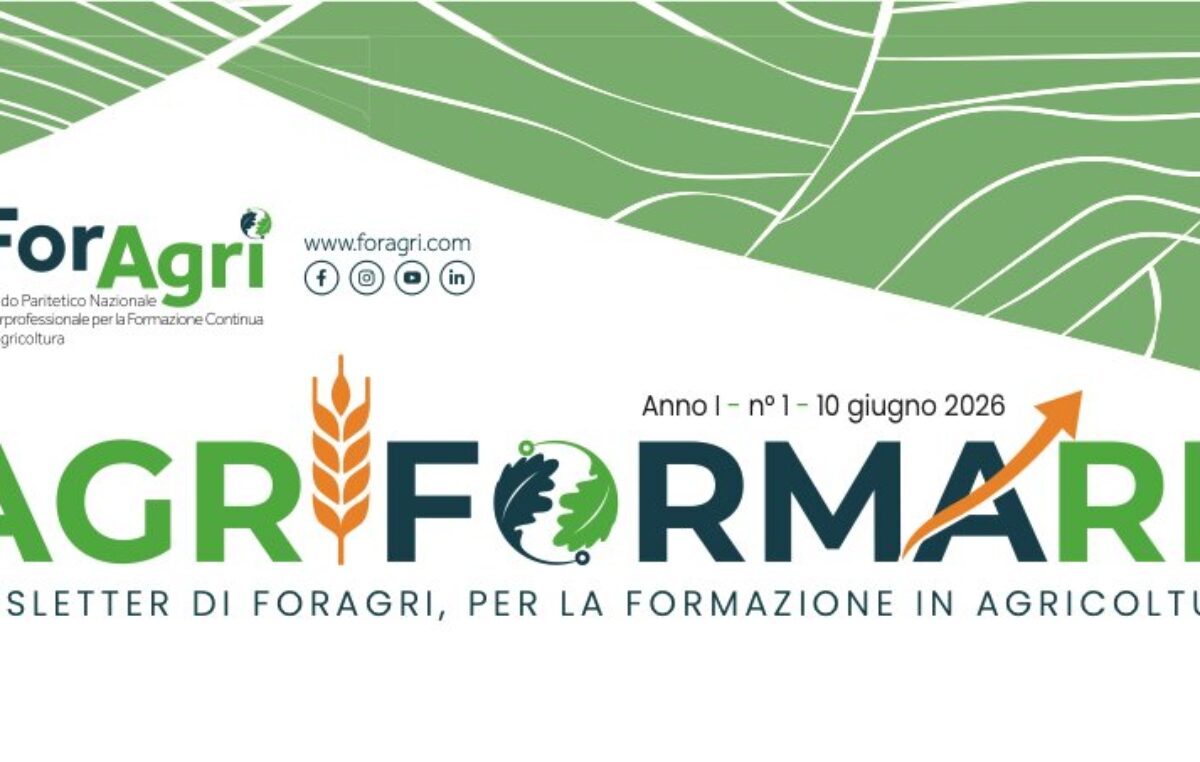 Newsletter #1 disponibile sul sito