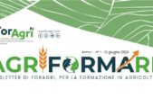 Newsletter #1 disponibile sul sito