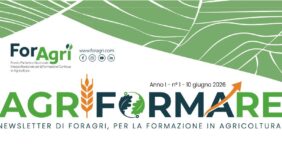 Newsletter #1 disponibile sul sito