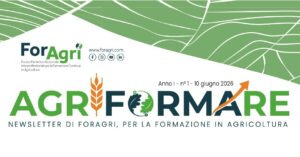 Newsletter #1 disponibile sul sito