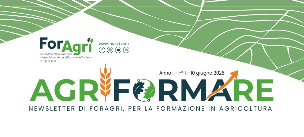 Newsletter #1 disponibile sul sito